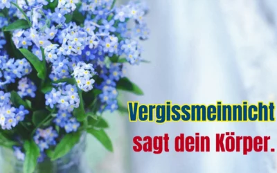 Sensomotrische Amnesie Teil 1