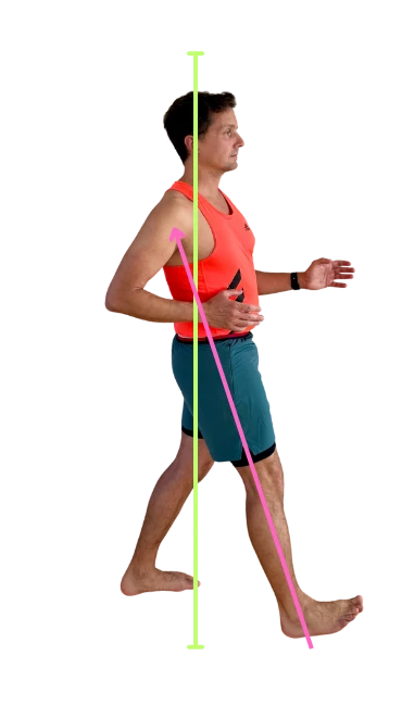 Schrittlänge vorne länger